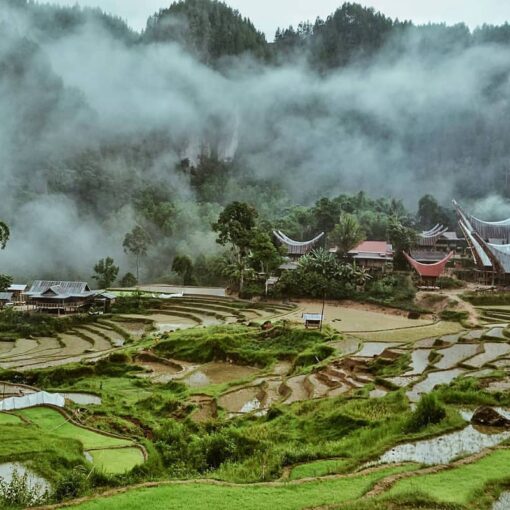 Paket Tour: Toraja (3D2N)